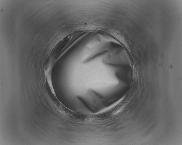 X0000071780109200607211607