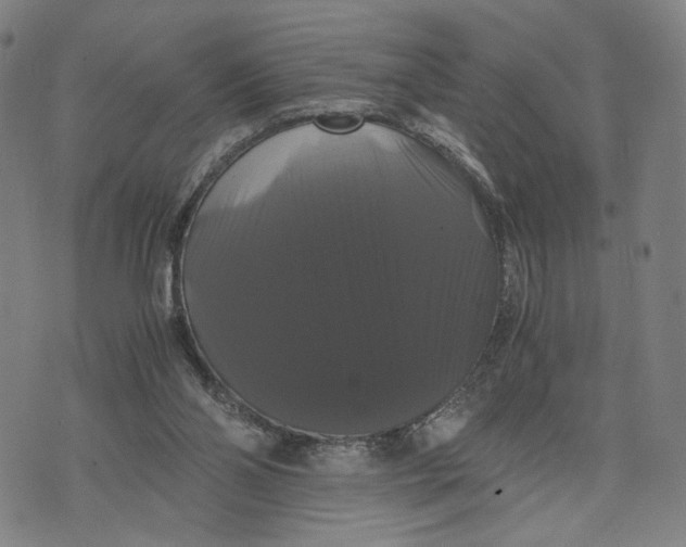 X0000071780110200607211607