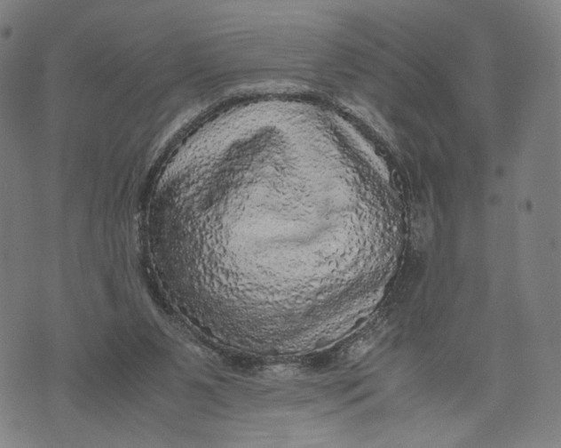 X0000071780111200607211607