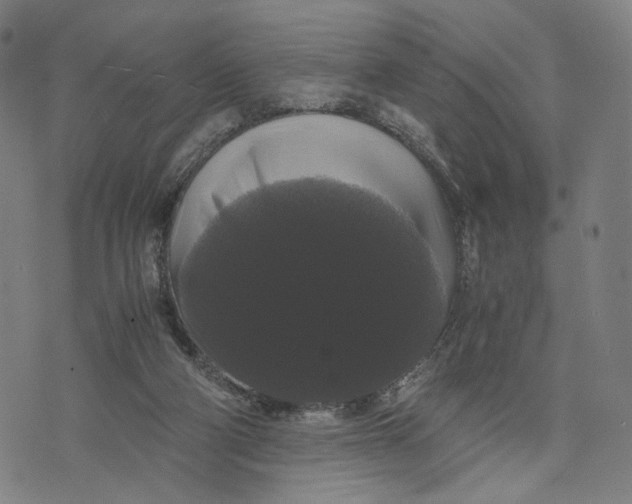 X0000071780114200607211607