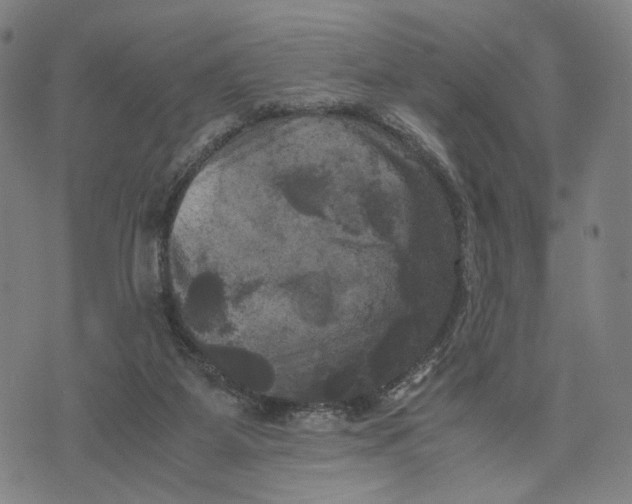 X0000071780115200607211607