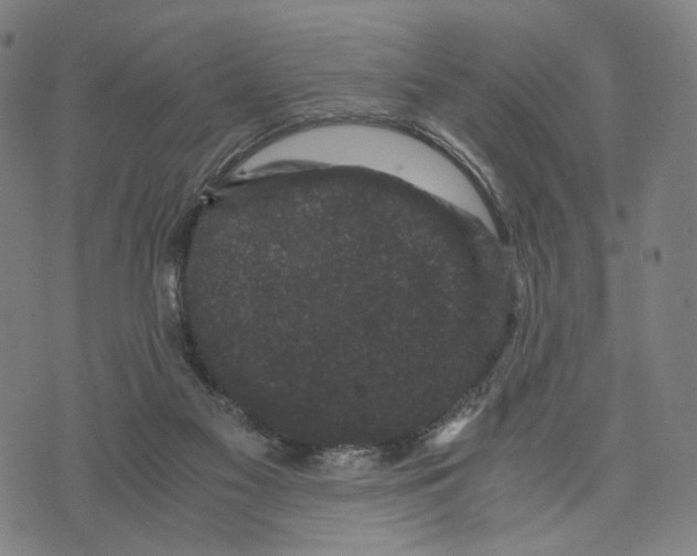 X0000071780117200607211607