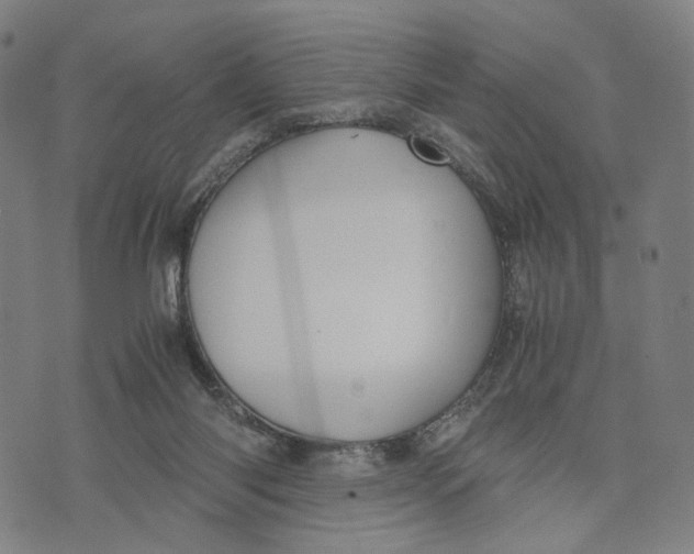 X0000071780118200607211607