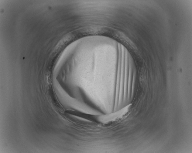 X0000071780119200607211607