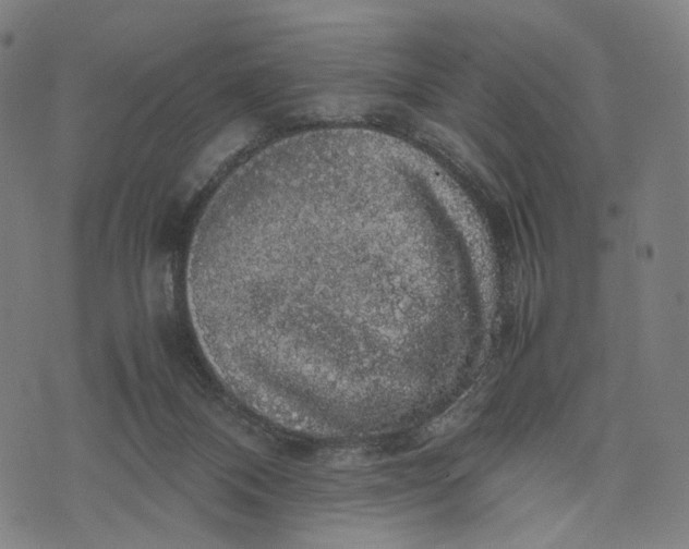 X0000071780120200607211607