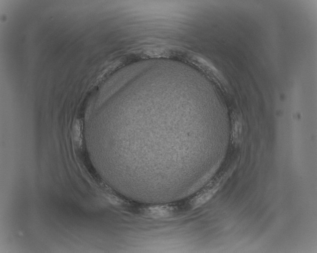 X0000071780121200607211607