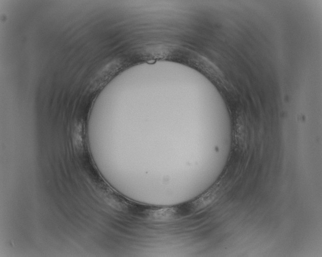 X0000071780122200607211607