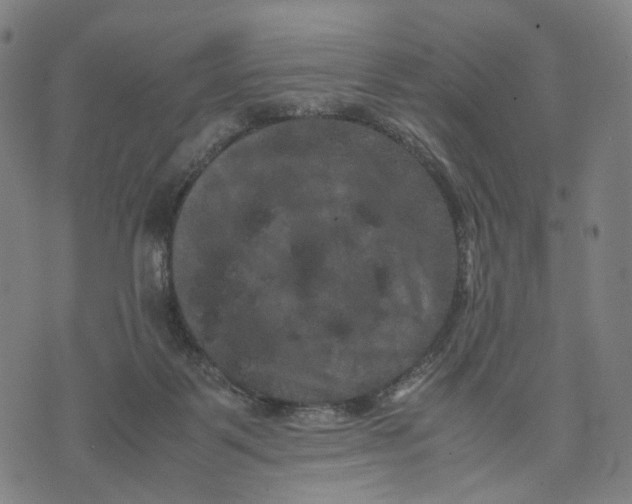 X0000071780123200607211607