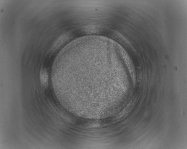 X0000071780124200607211607