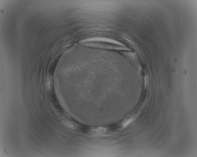 X0000071780125200607211607