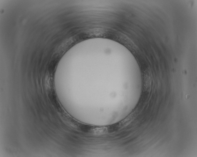 X0000071780126200607211606