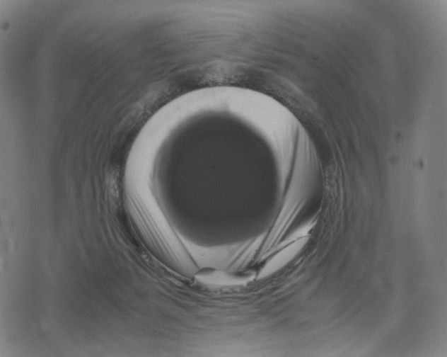 X0000071780127200607211606