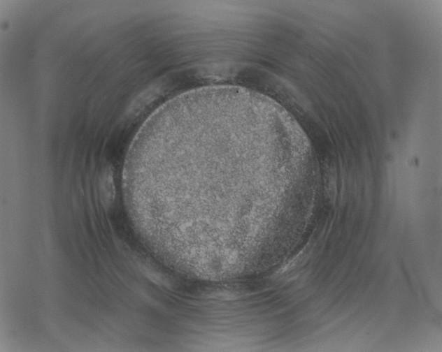 X0000071780128200607211606