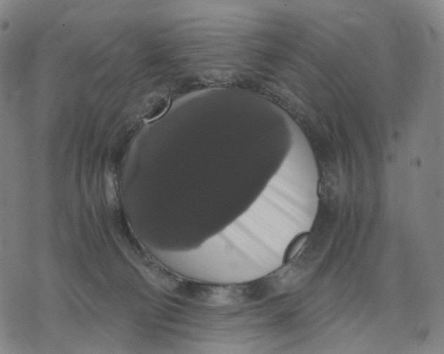 X0000071780130200607211606