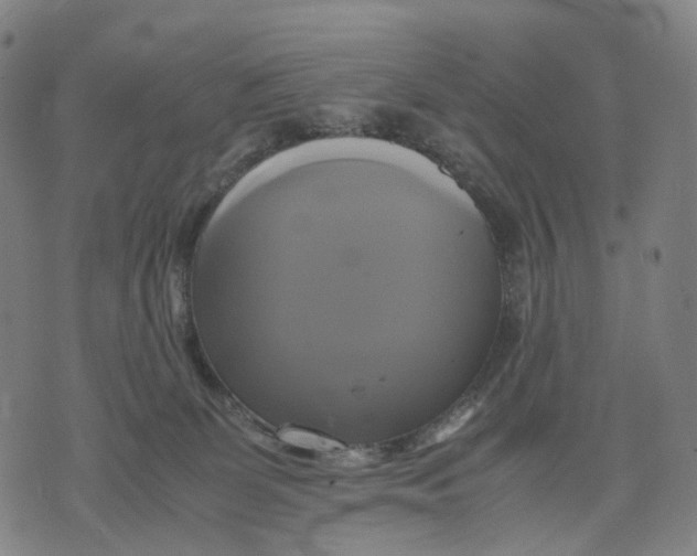 X0000071780131200607211606