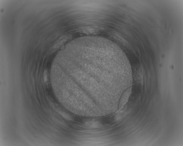 X0000071780132200607211606