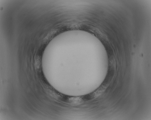 X0000071780133200607211606