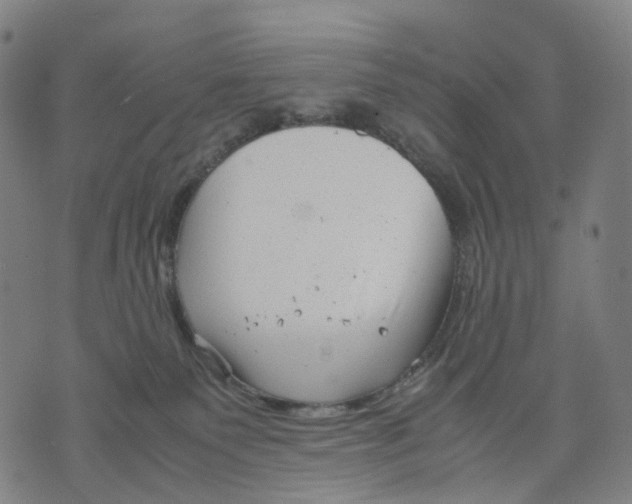 X0000071780135200607211606