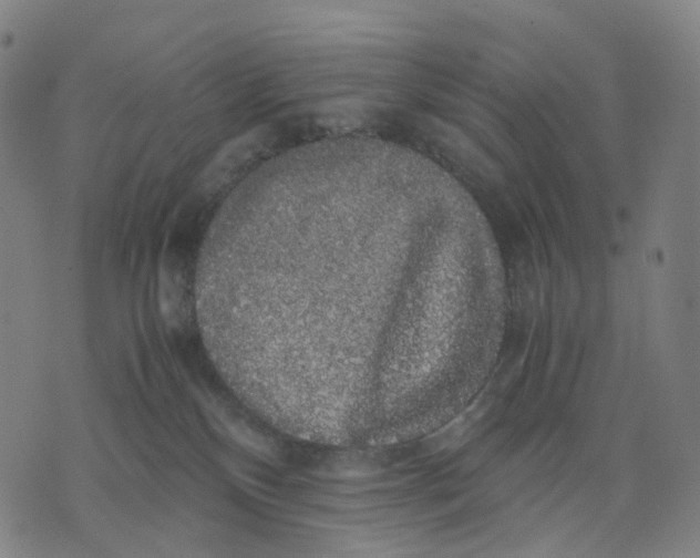 X0000071780136200607211606