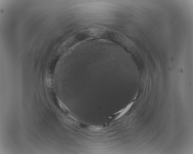 X0000071780137200607211606