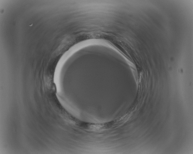 X0000071780139200607211606