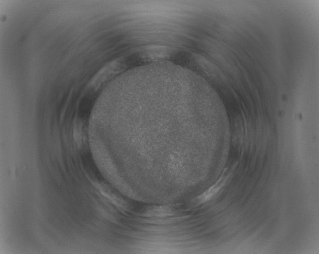 X0000071780140200607211606