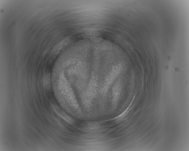 X0000071780144200607211606