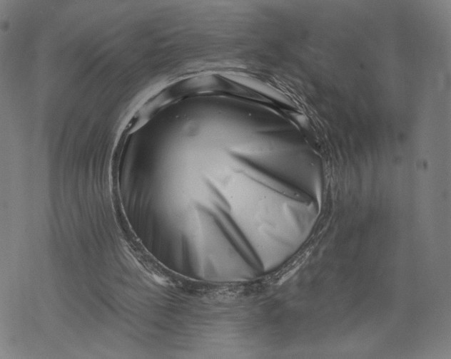 X0000071780148200607211605