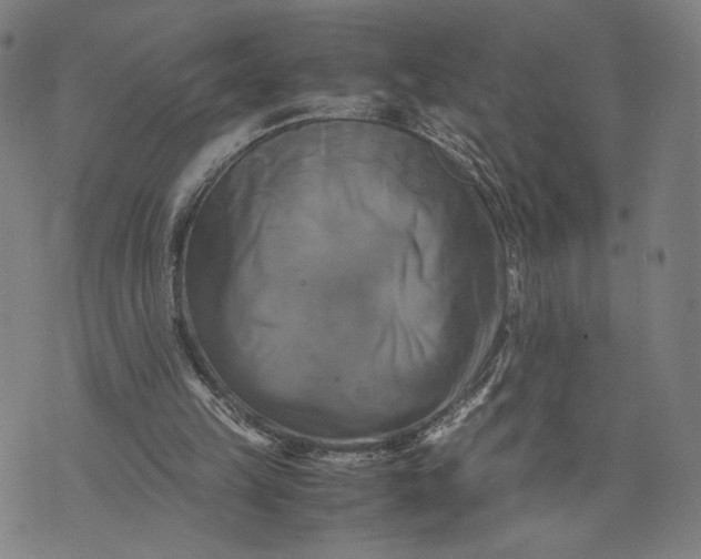 X0000071780149200607211605