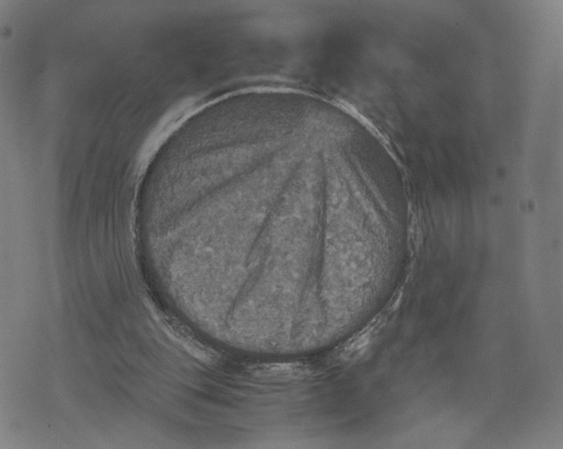 X0000071780151200607211606