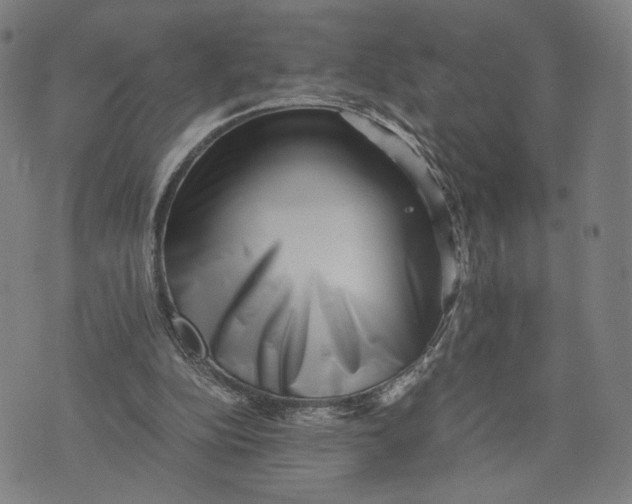 X0000071780152200607211606