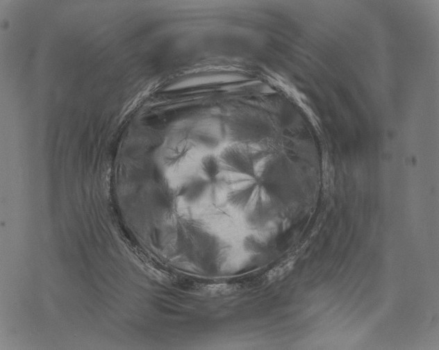 X0000071780153200607211606