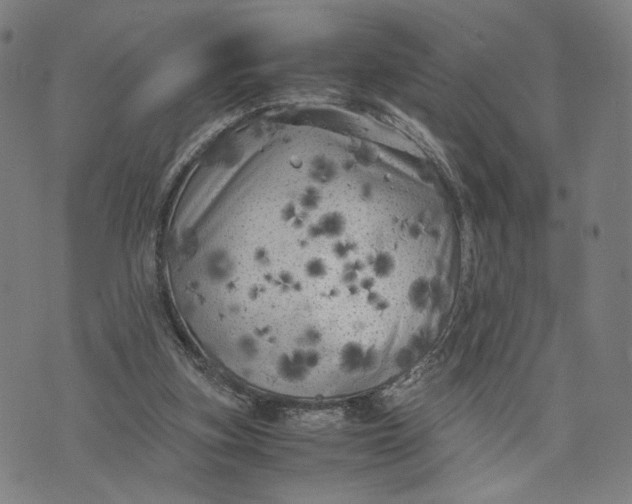 X0000071780155200607211606