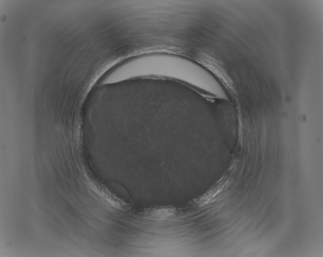 X0000071780156200607211606