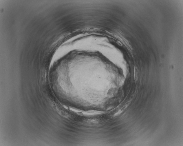 X0000071780157200607211606