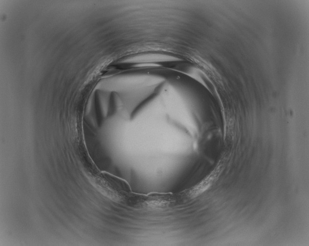 X0000071780158200607211606