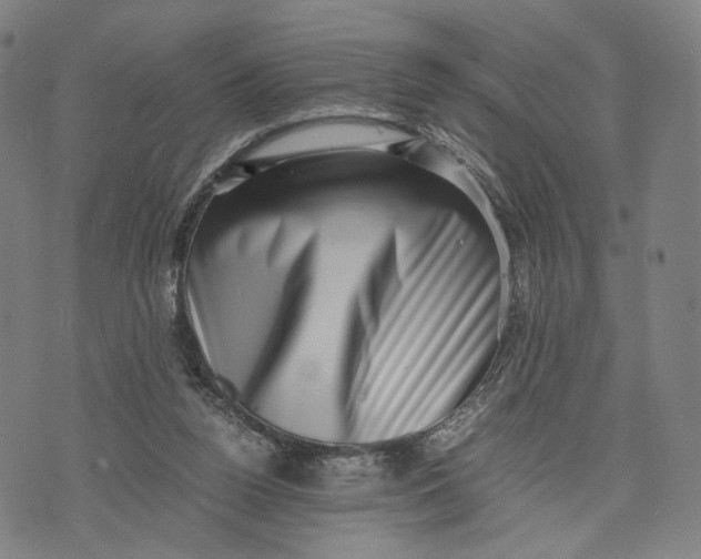 X0000071780160200607211606