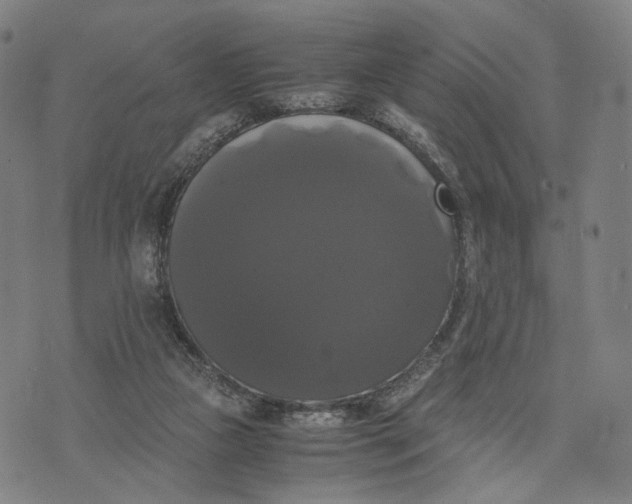 X0000071780161200607211606