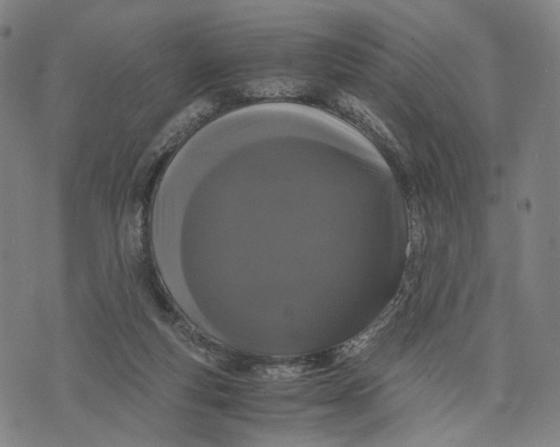 X0000071780163200607211606