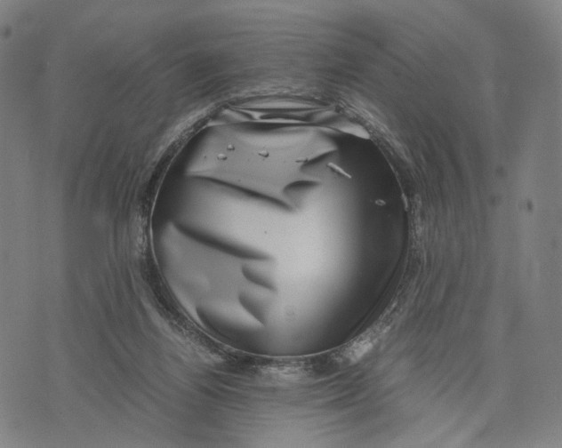 X0000071780164200607211606