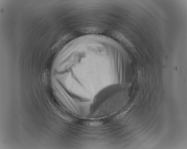 X0000071780165200607211606