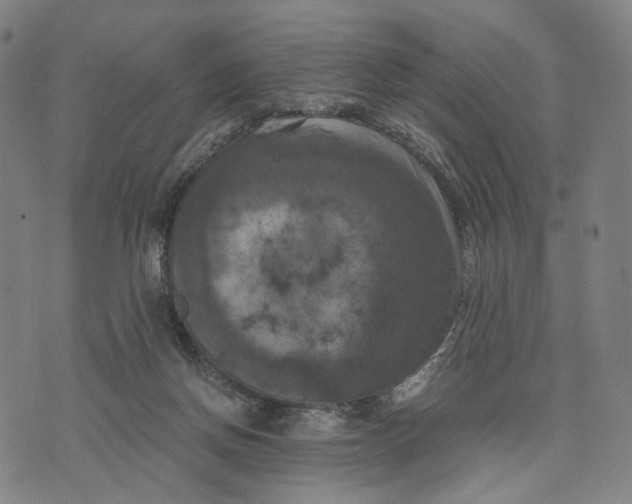 X0000071780166200607211606