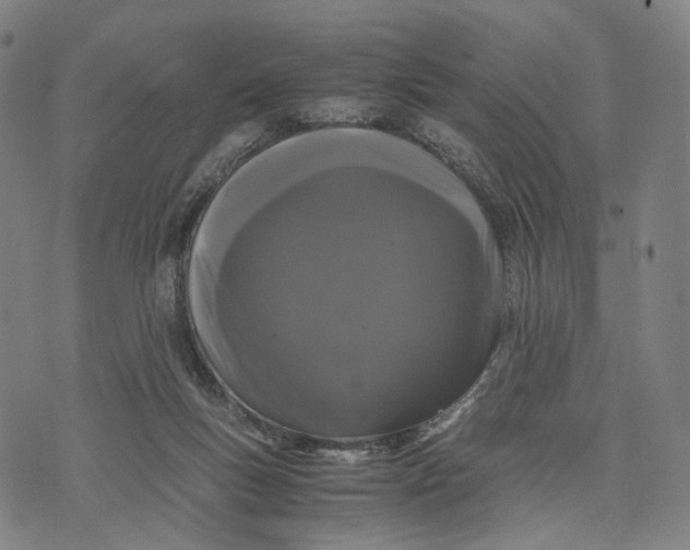 X0000071780167200607211606