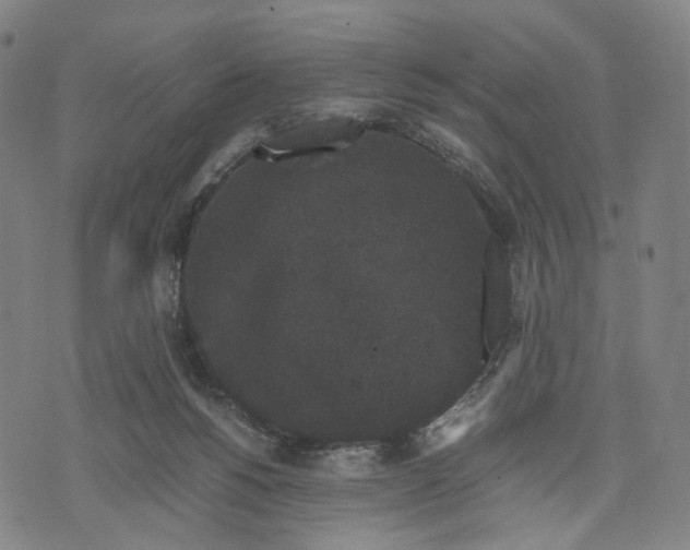 X0000071780168200607211606