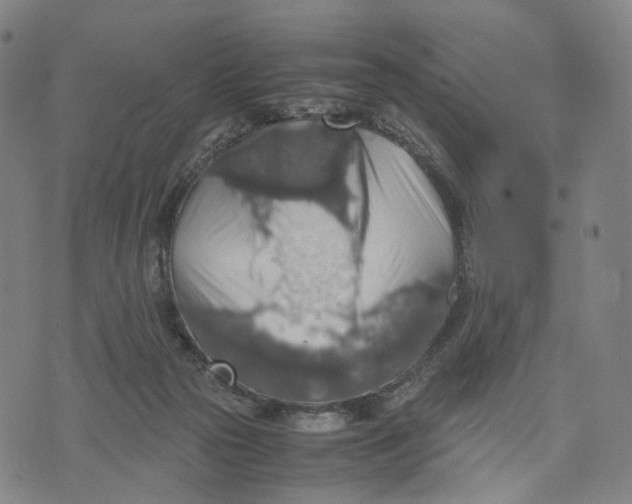 X0000071780169200607211606