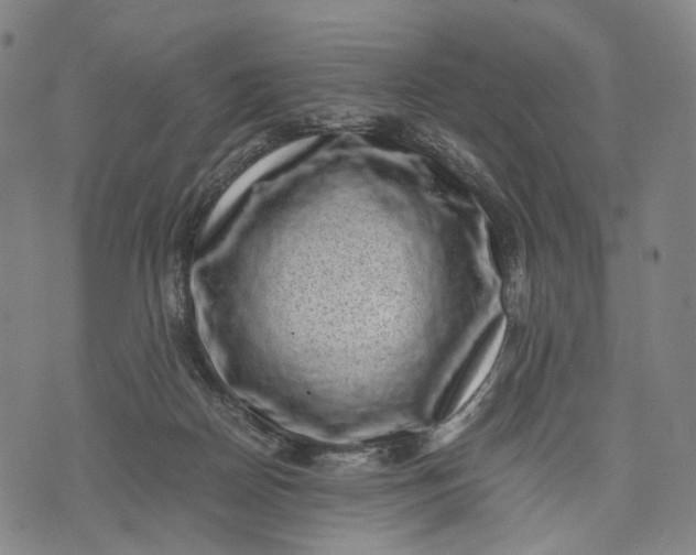 X0000071780170200607211606