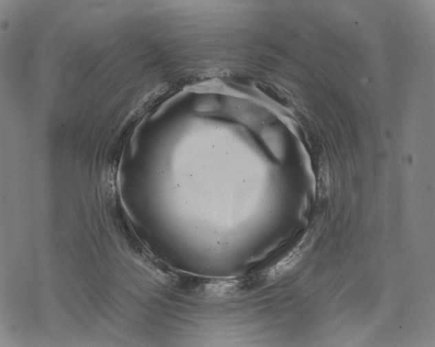 X0000071780172200607211606