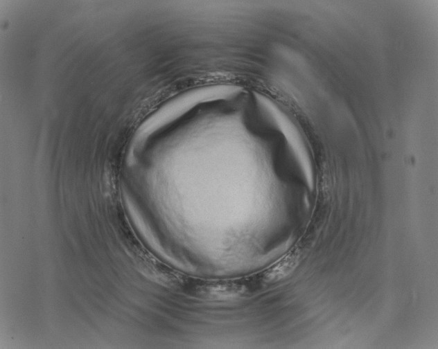 X0000071780173200607211606