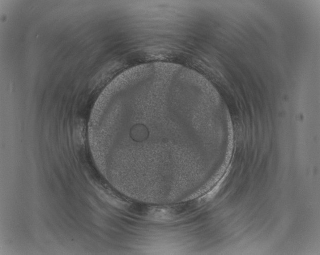 X0000071780174200607211606