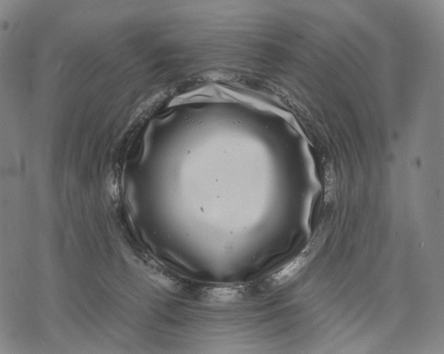 X0000071780176200607211606